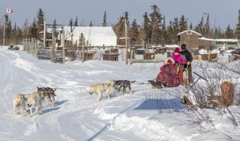 Dogsledding adventure in Churchill.